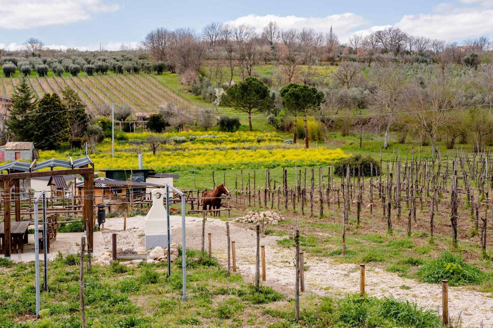 Il Poggio Degli Antichi Sapori Villa Paternopoli Dış mekan fotoğraf